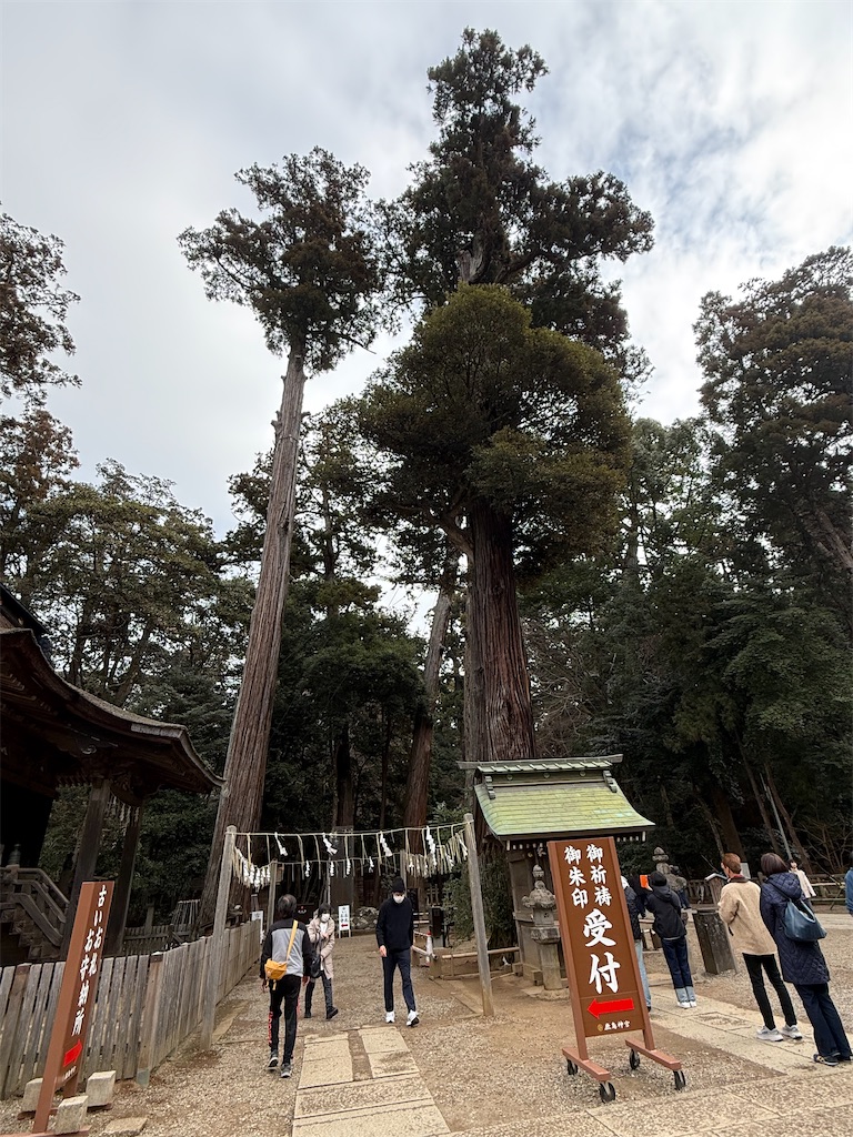 f:id:camper_bakkasu:20260226121907j:image