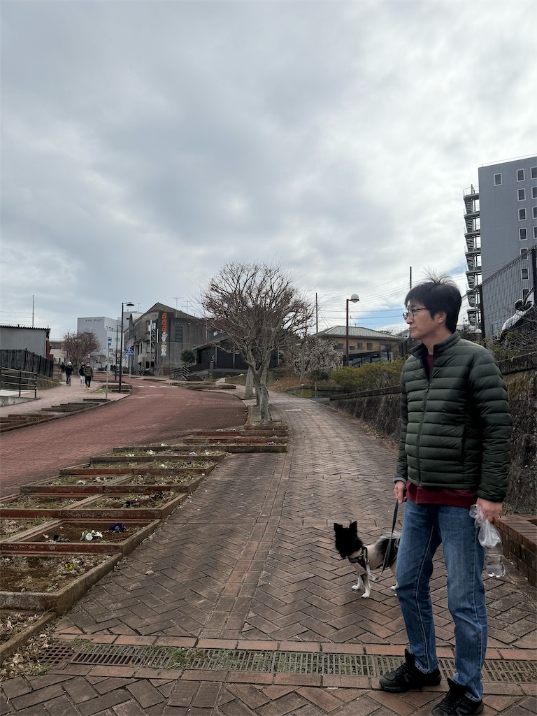 f:id:camper_bakkasu:20260226122304j:image