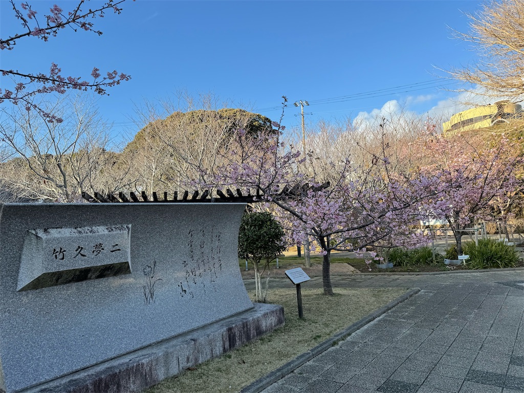 f:id:camper_bakkasu:20260226123052j:image