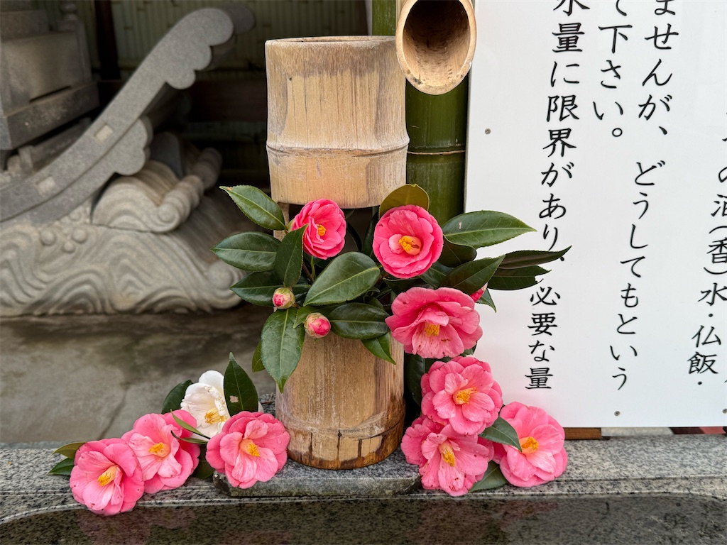 f:id:camper_bakkasu:20260226123643j:image