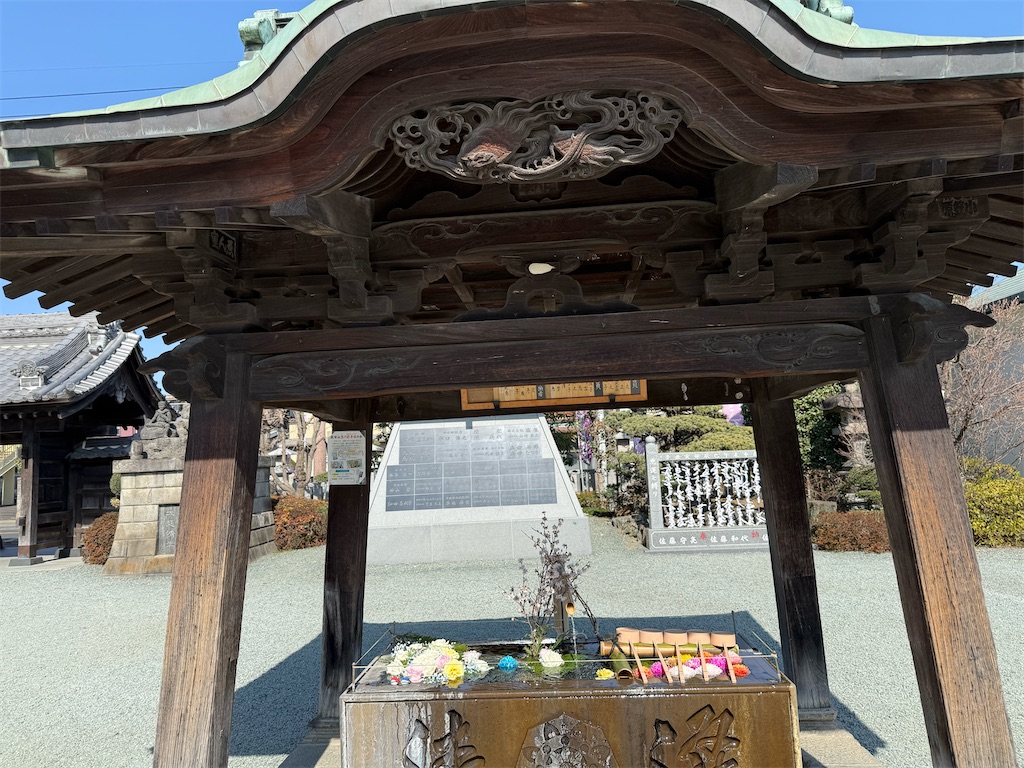 f:id:camper_bakkasu:20260302161158j:image