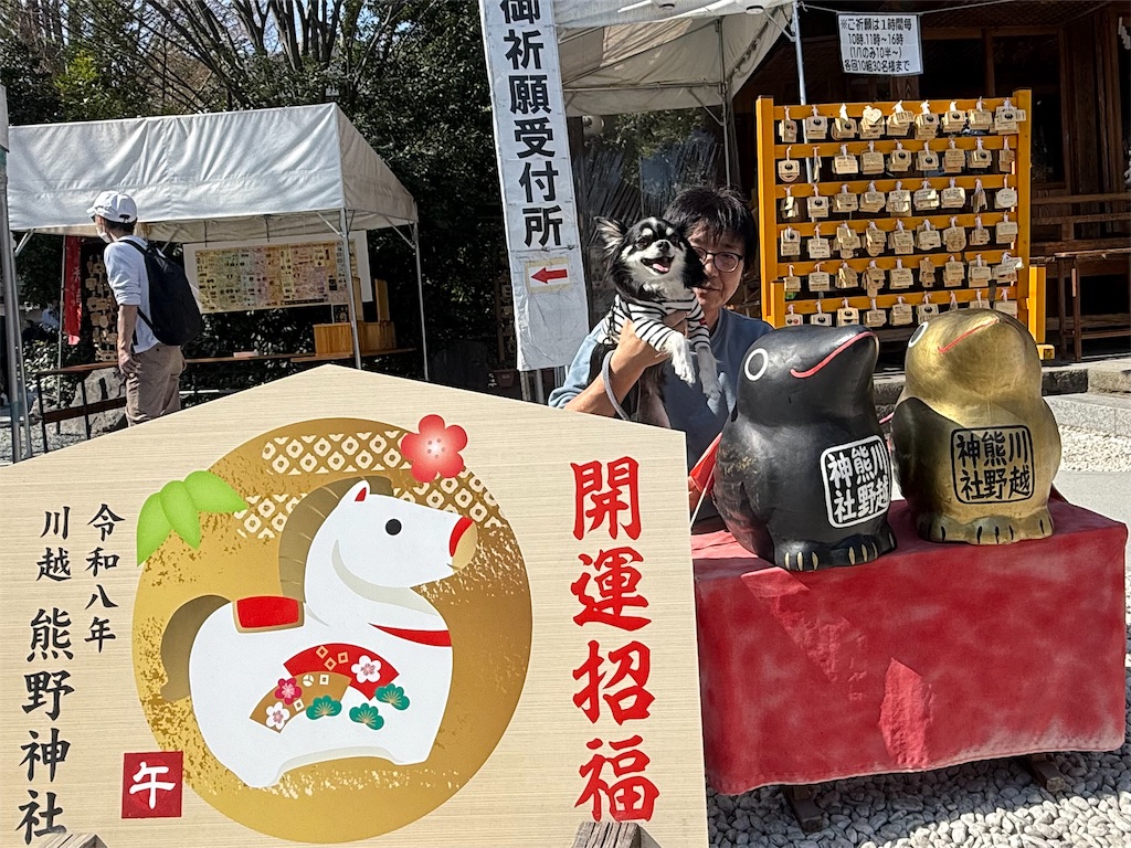 f:id:camper_bakkasu:20260302161310j:image