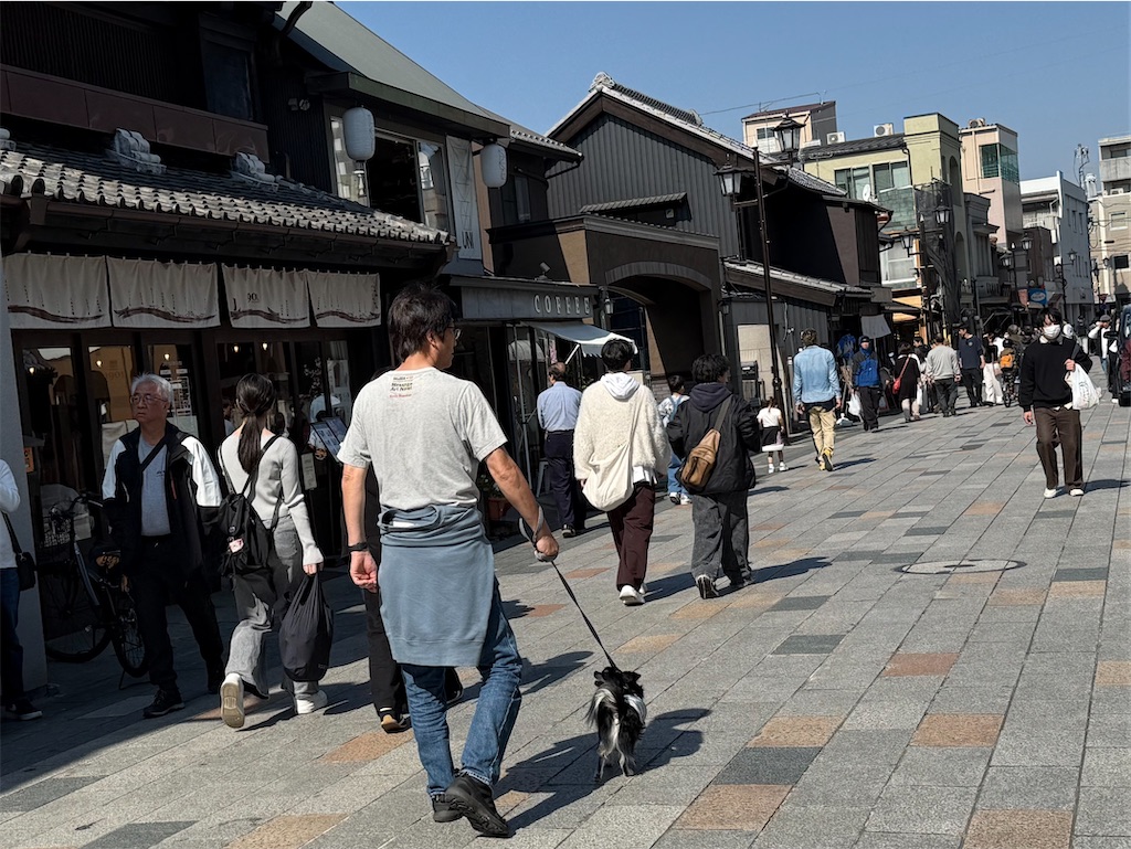 f:id:camper_bakkasu:20260302161313j:image
