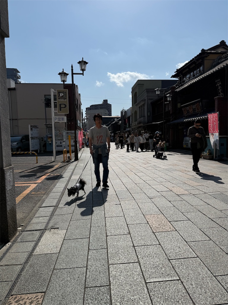 f:id:camper_bakkasu:20260302161323j:image