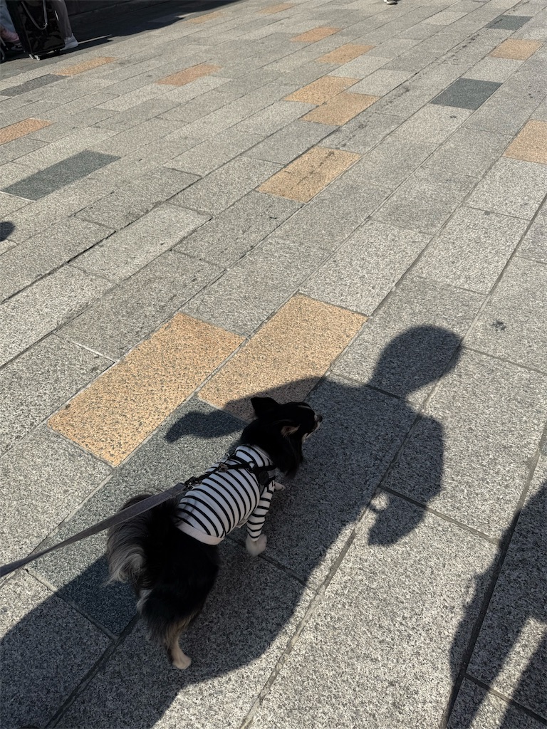 f:id:camper_bakkasu:20260302161326j:image