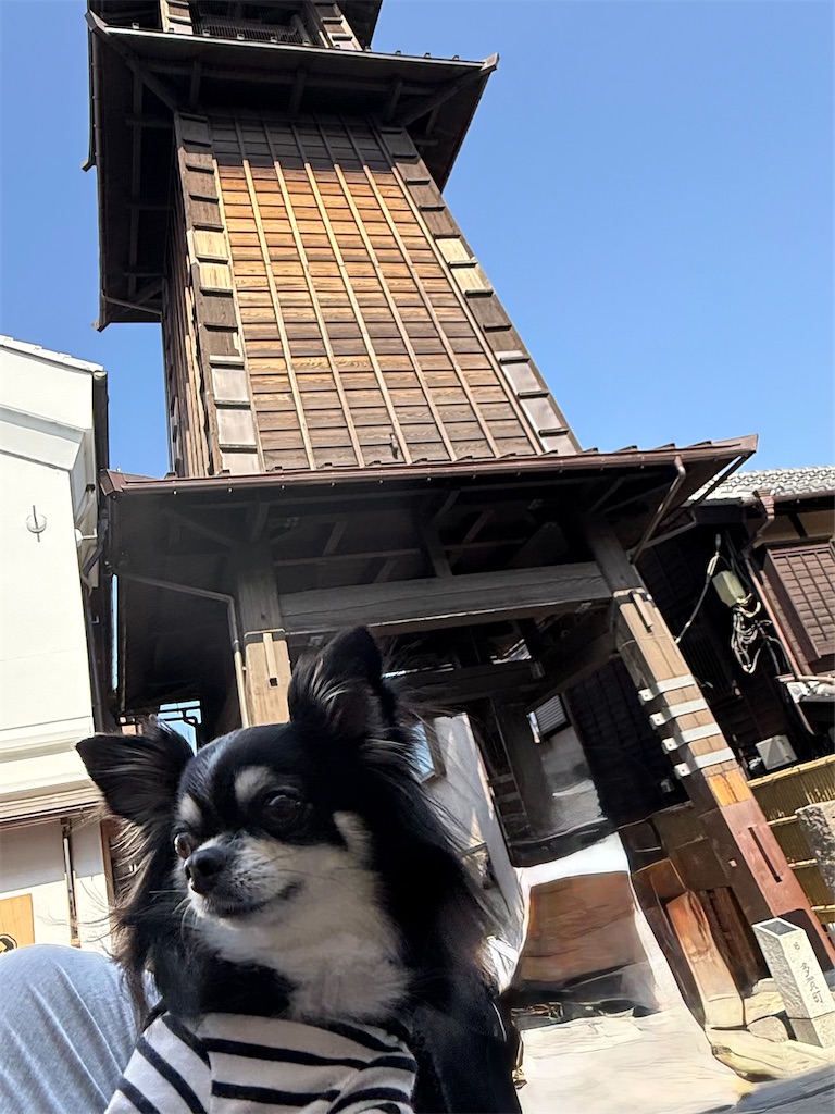 f:id:camper_bakkasu:20260302161527j:image