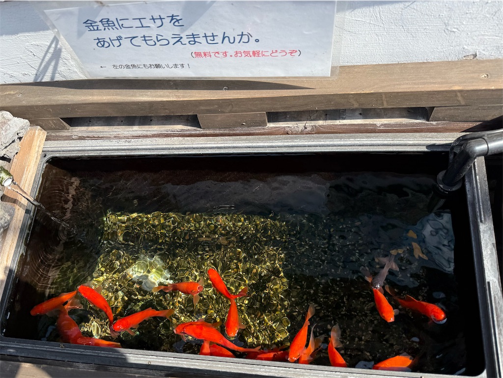 f:id:camper_bakkasu:20260302161551j:image