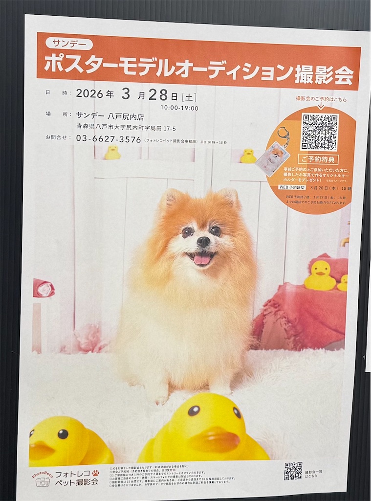 f:id:camper_bakkasu:20260328211253j:image