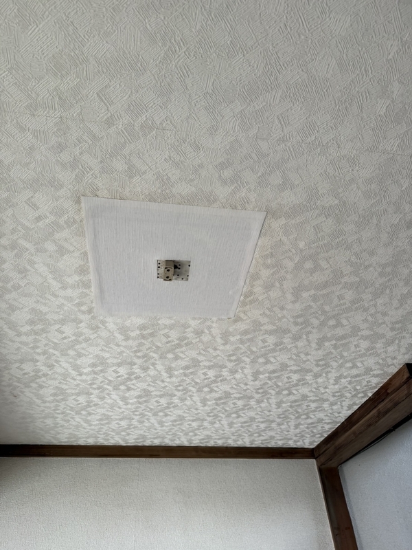 貼り付け完了直後
