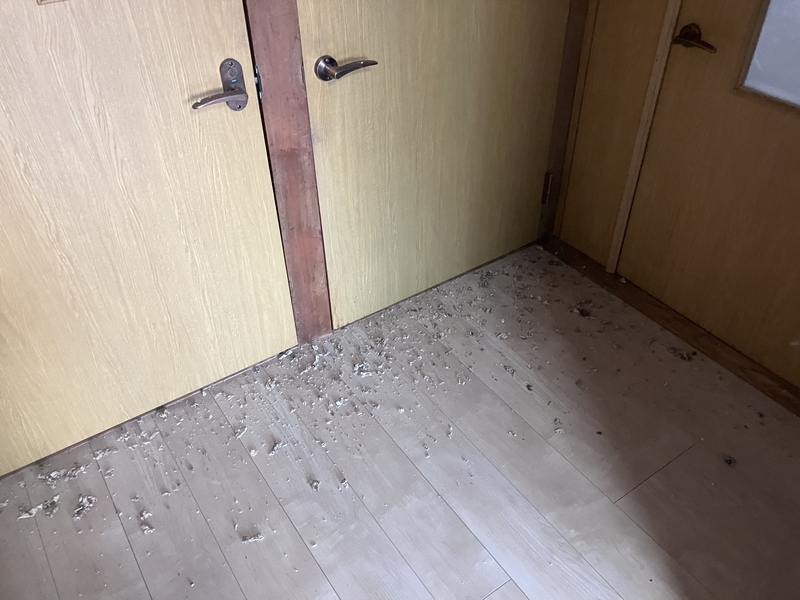 落ちてきたゴミの山