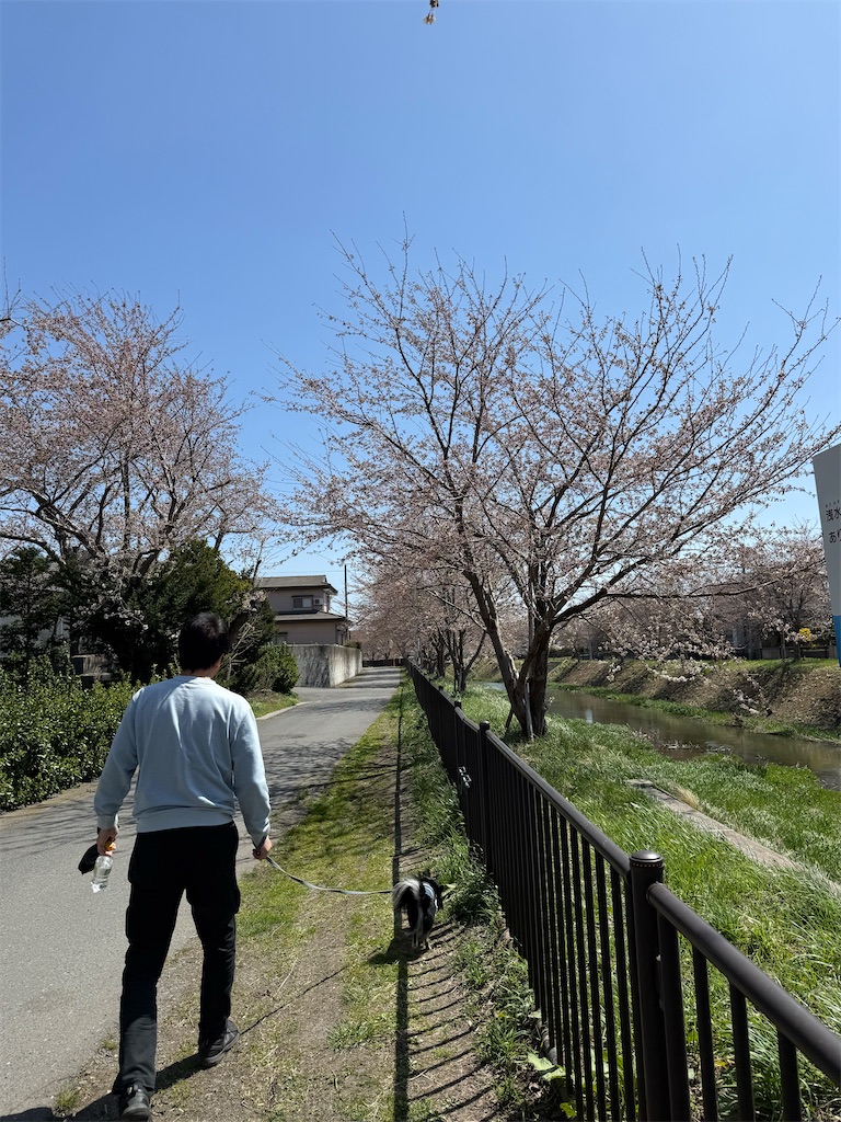 f:id:camper_bakkasu:20260413201055j:image