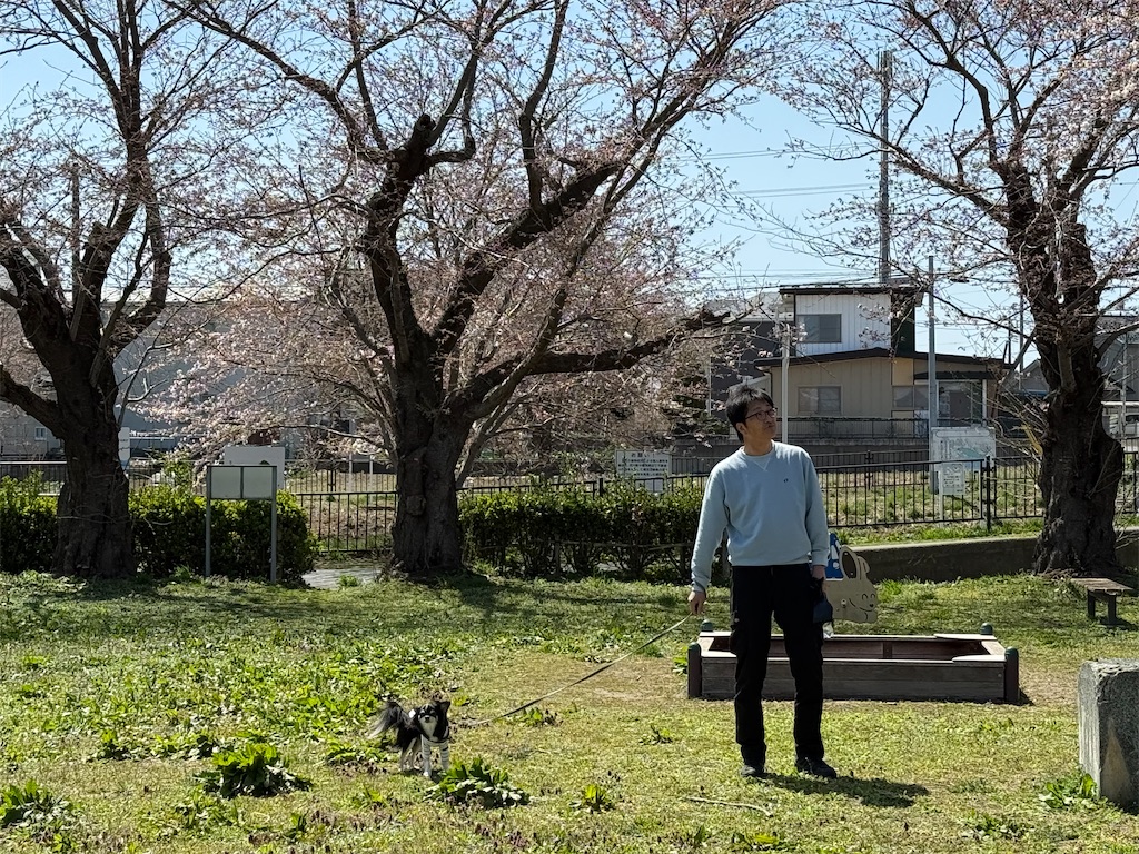 f:id:camper_bakkasu:20260413201114j:image f:id:camper_bakkasu:20260413201114j:image