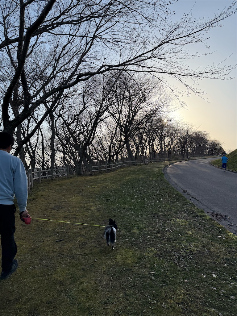 f:id:camper_bakkasu:20260413201204j:image