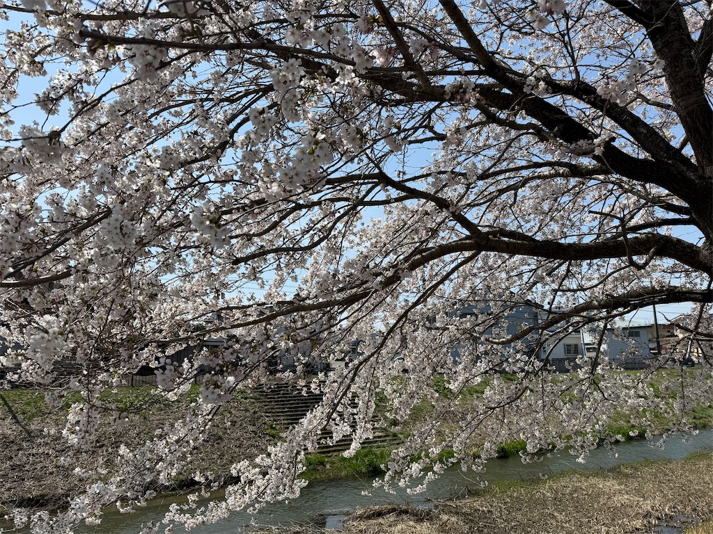 f:id:camper_bakkasu:20260414113139j:image