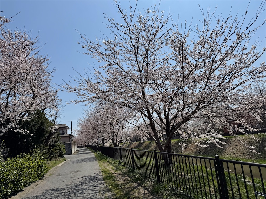 f:id:camper_bakkasu:20260414113222j:image