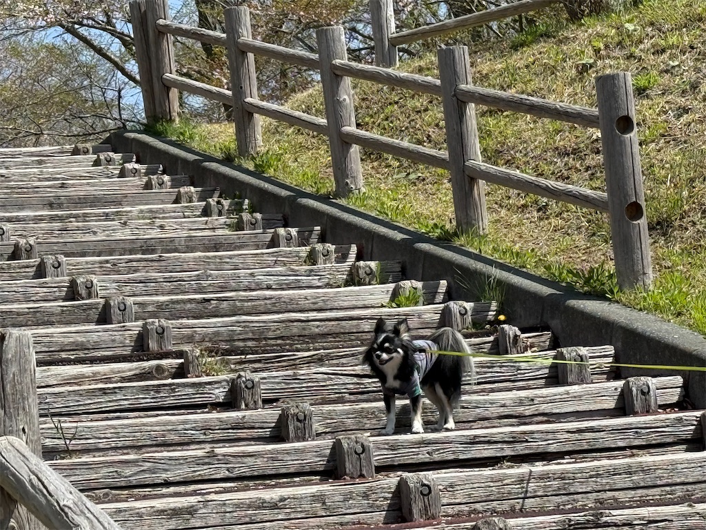 f:id:camper_bakkasu:20260423204956j:image