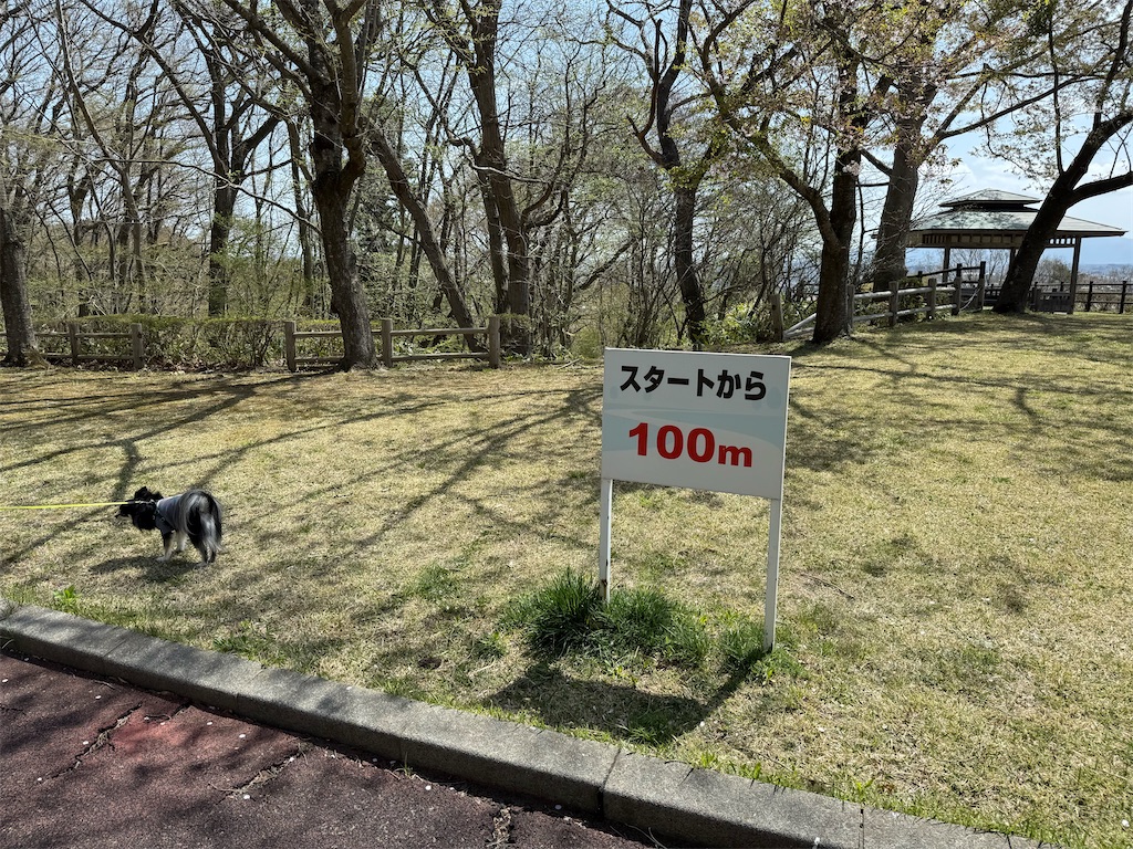 f:id:camper_bakkasu:20260423205000j:image