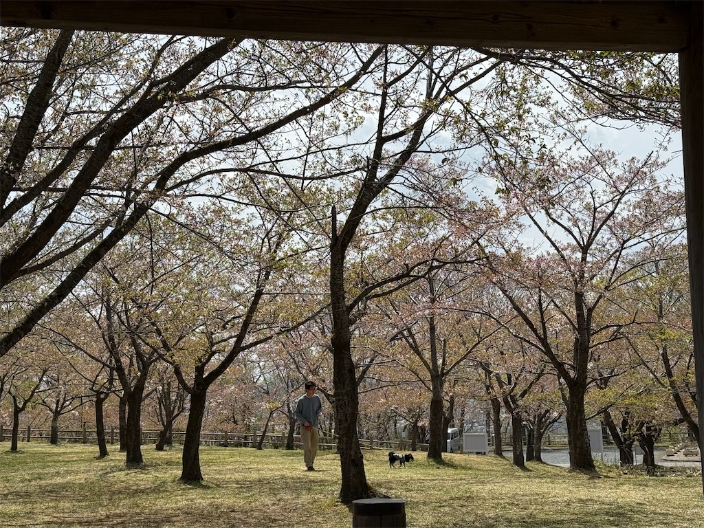 f:id:camper_bakkasu:20260423205224j:image f:id:camper_bakkasu:20260423205224j:image