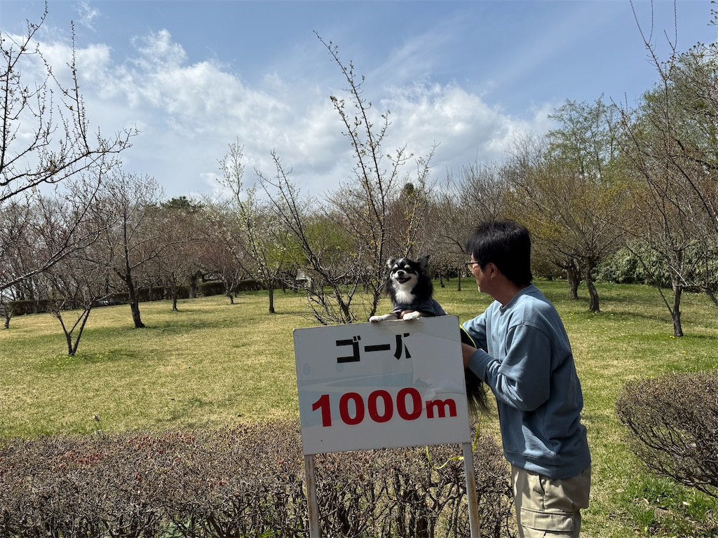 f:id:camper_bakkasu:20260423205314j:image