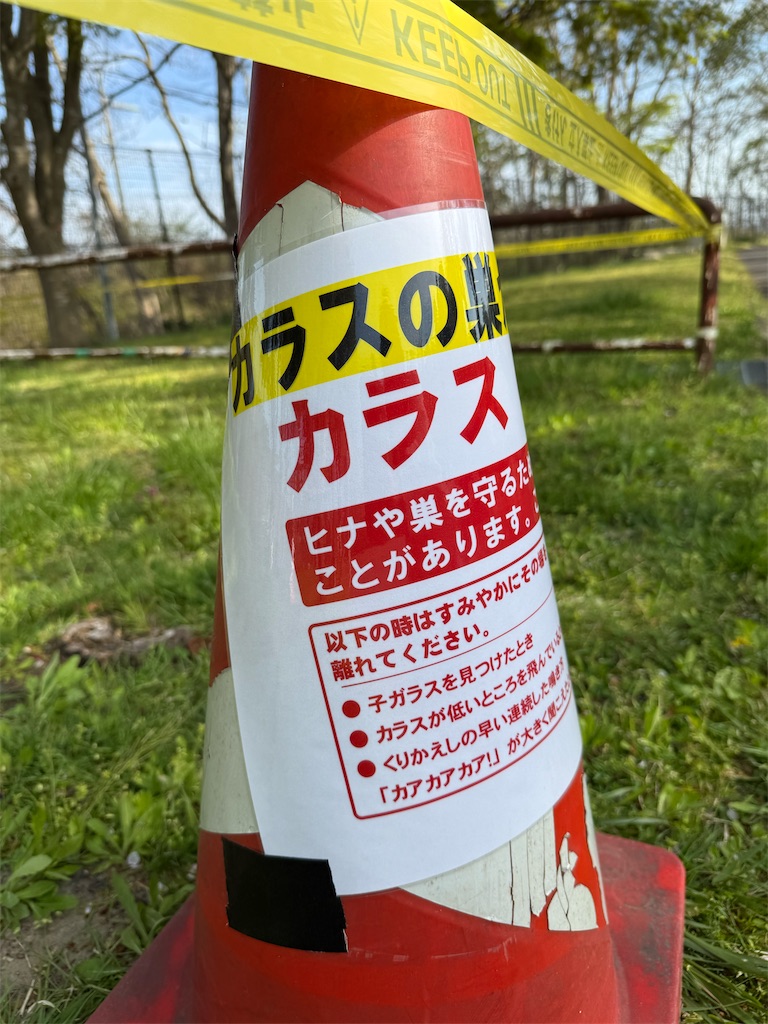 f:id:camper_bakkasu:20260430155219j:image