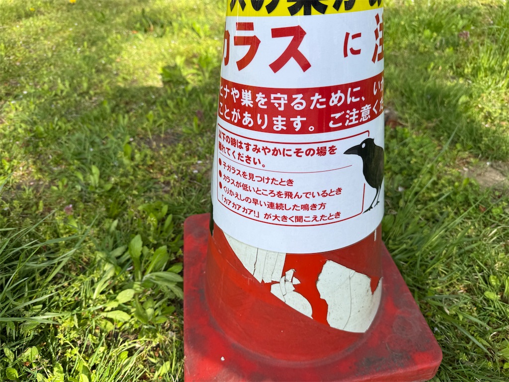 f:id:camper_bakkasu:20260430155227j:image