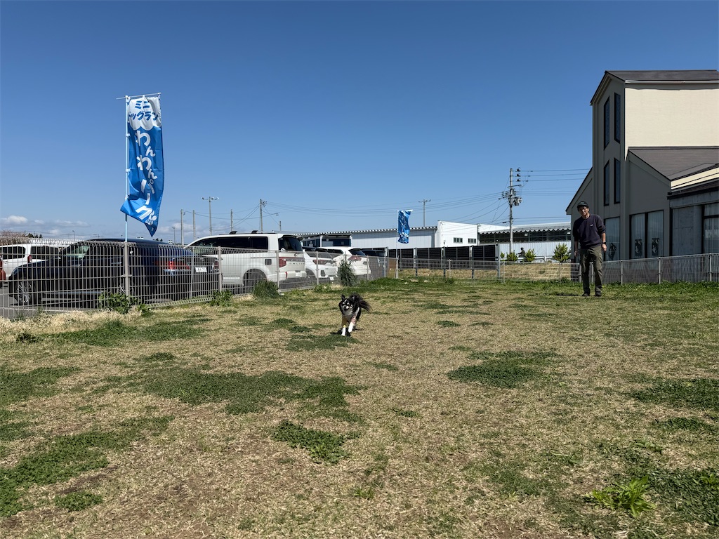 f:id:camper_bakkasu:20260505140954j:image