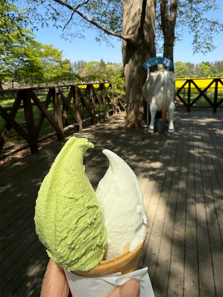 f:id:camper_bakkasu:20260505141220j:image
