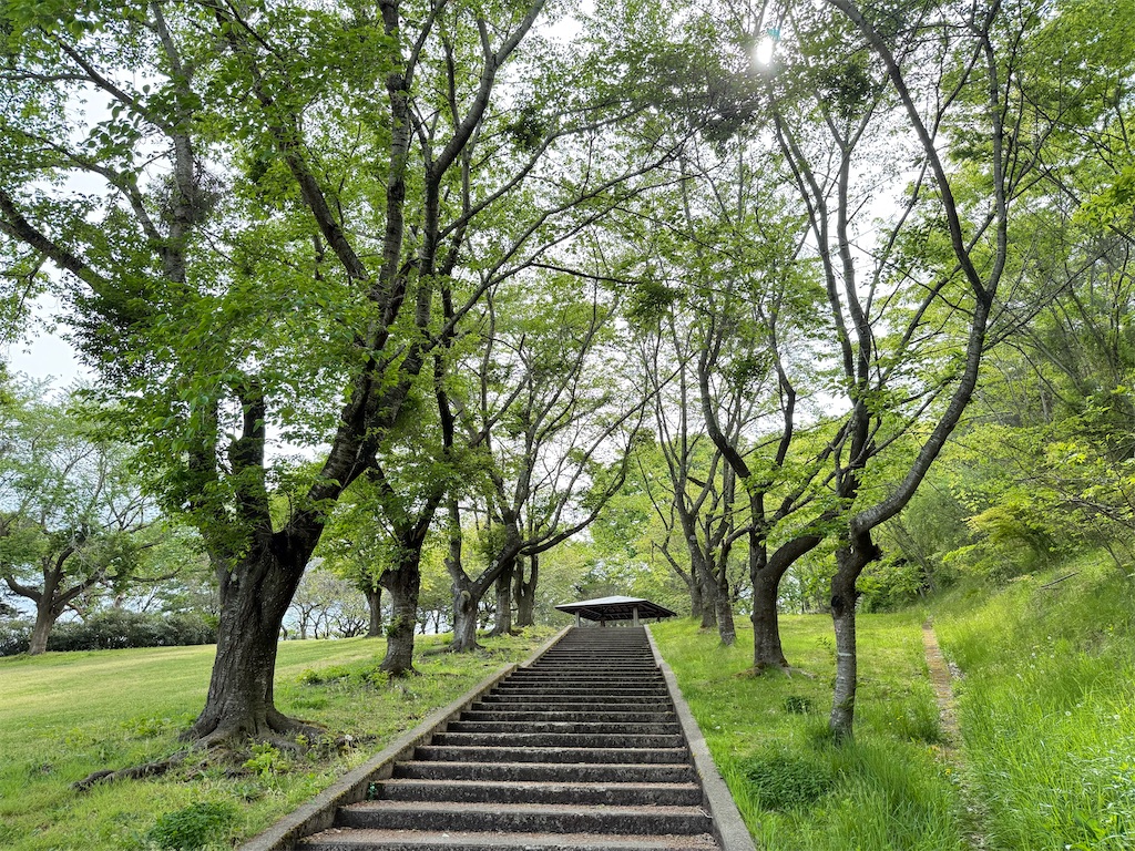 f:id:camper_bakkasu:20260507145338j:image f:id:camper_bakkasu:20260507145338j:image