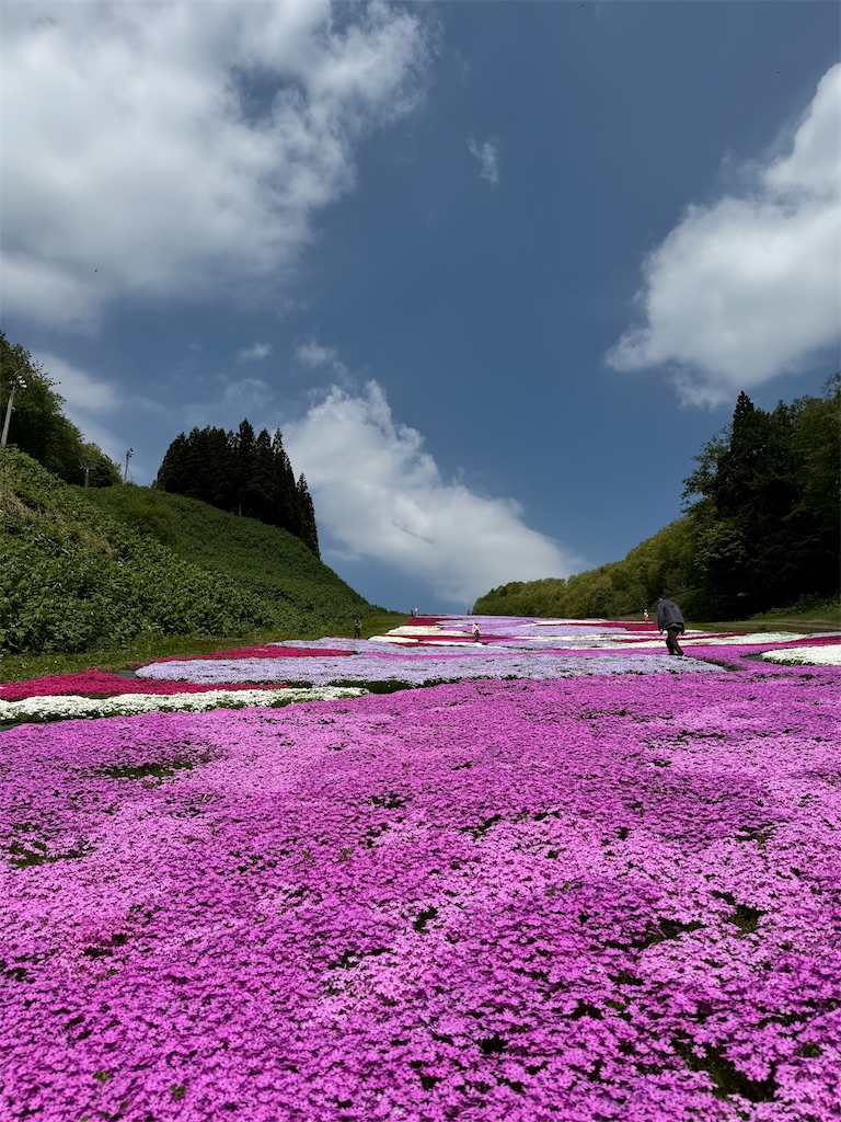 f:id:camper_bakkasu:20260514091514j:image