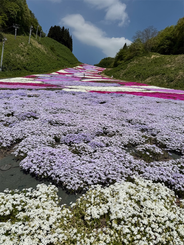 f:id:camper_bakkasu:20260514091525j:image