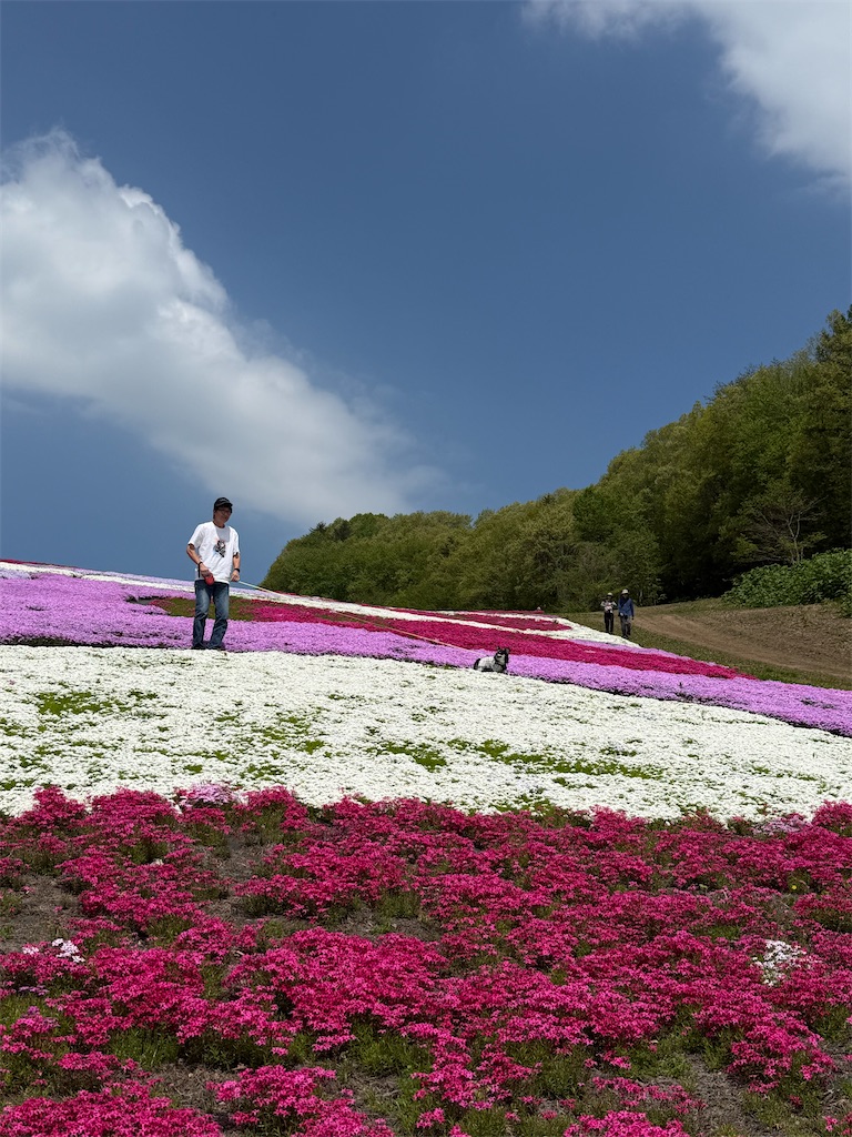 f:id:camper_bakkasu:20260514091611j:image