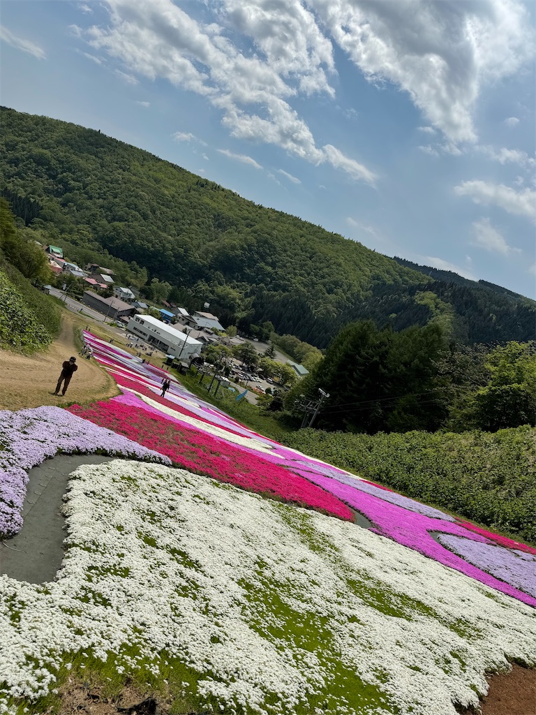 f:id:camper_bakkasu:20260514091928j:image
