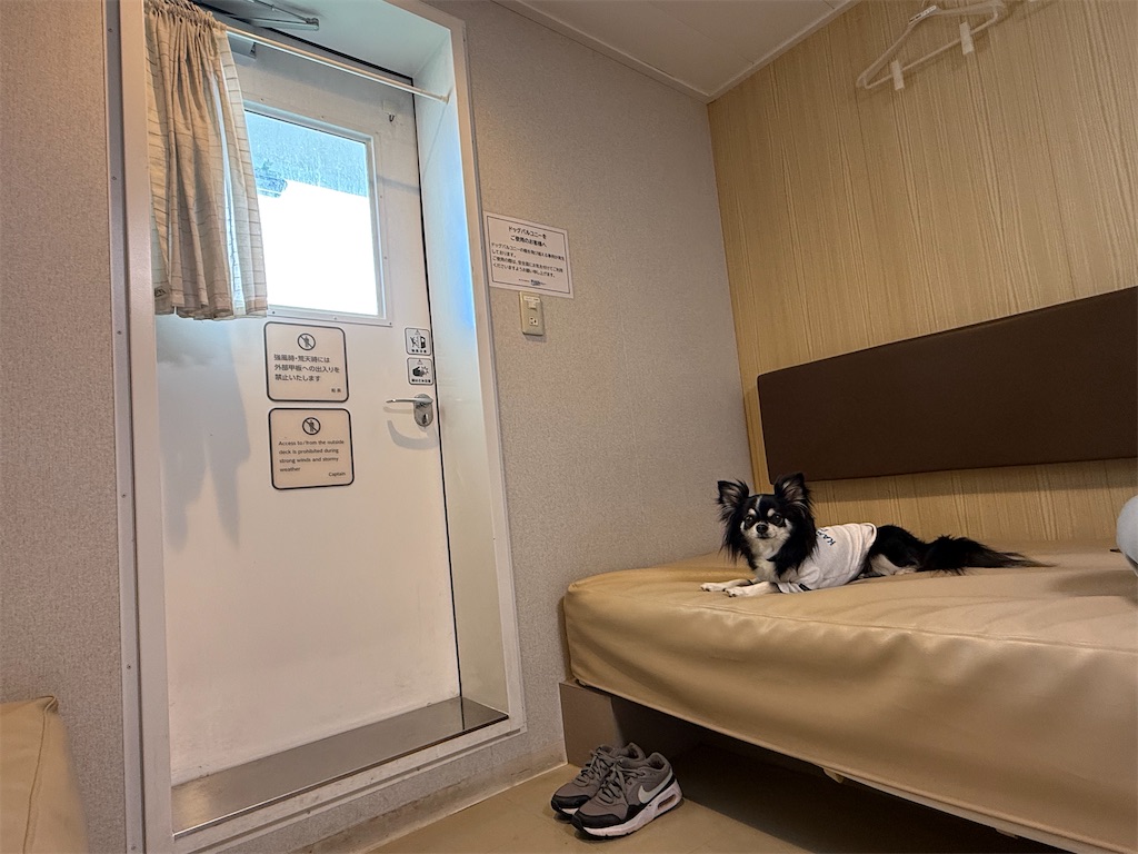 f:id:camper_bakkasu:20260604102611j:image
