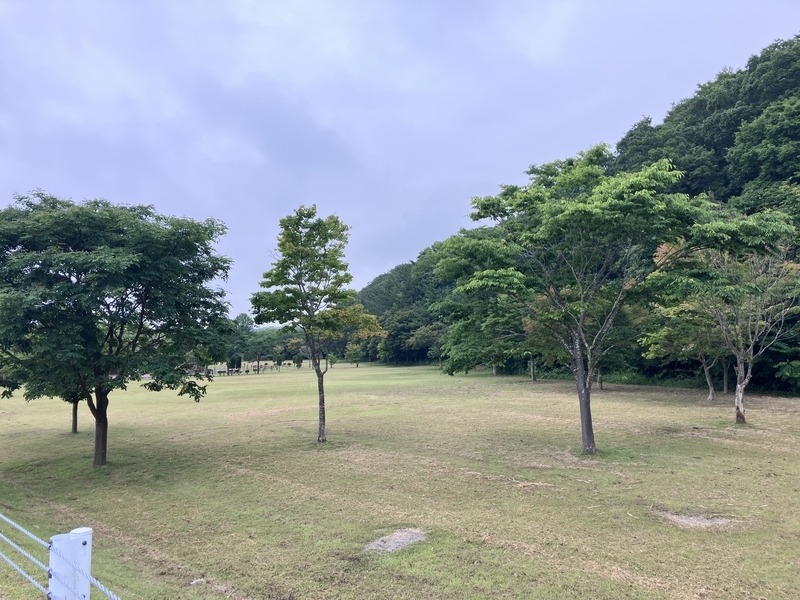手入れの行き届いた美しい芝生広場