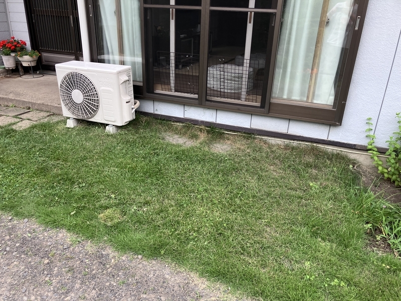 草刈りが必要な庭の別の場所