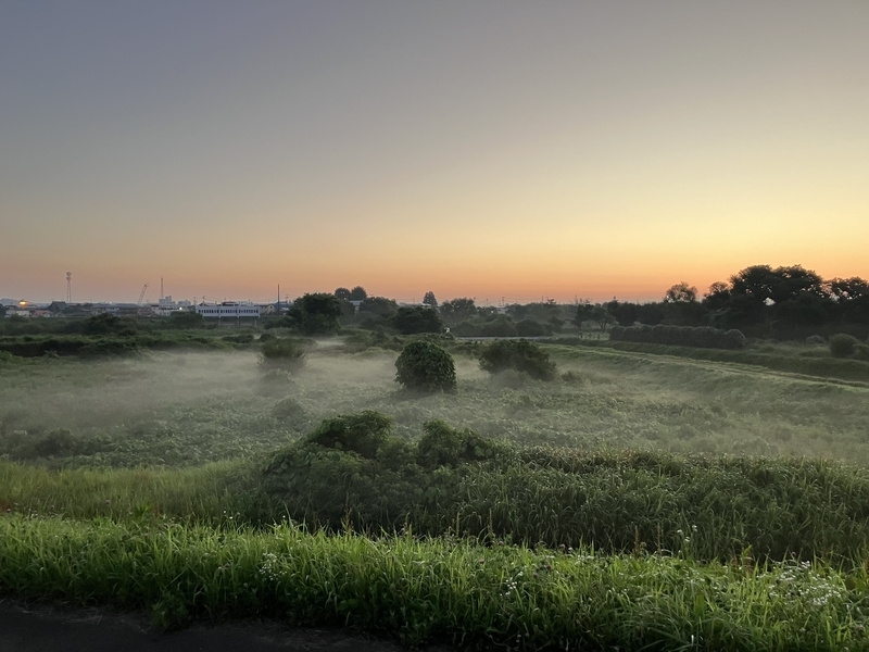 朝もやがかかる幻想的な畑の景色