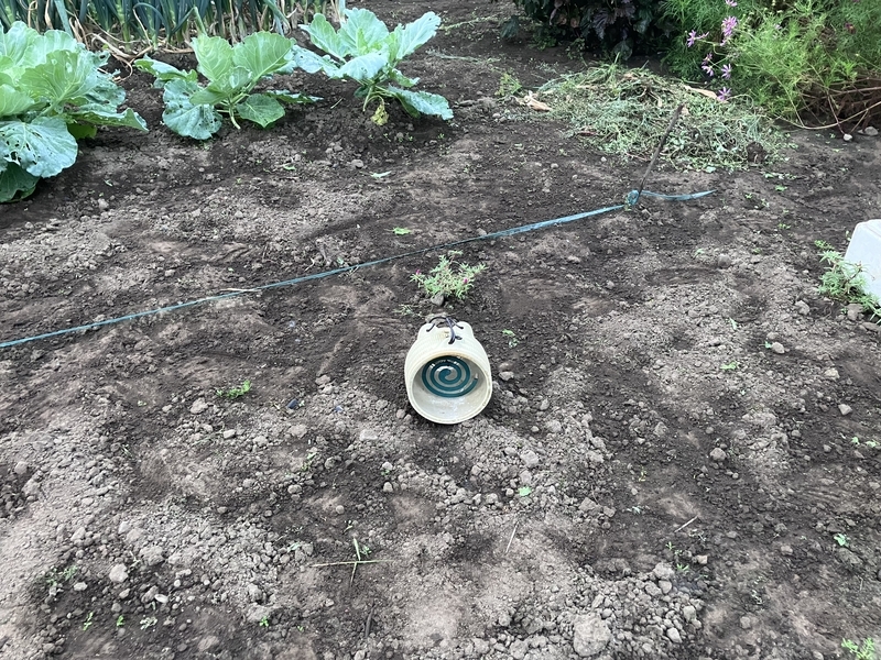 蚊取り線香を焚いて作業準備