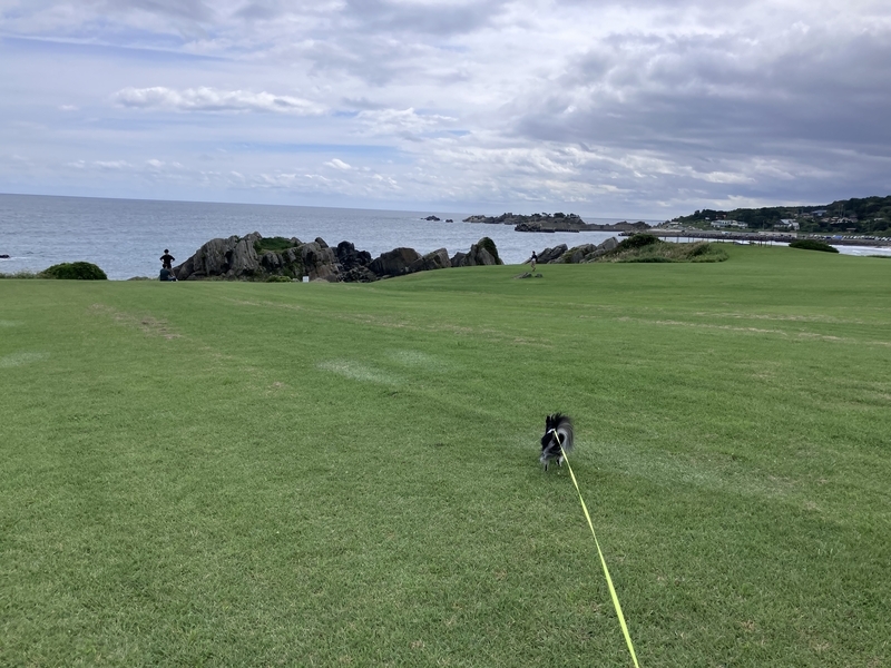 種差海岸の美しい芝生と海