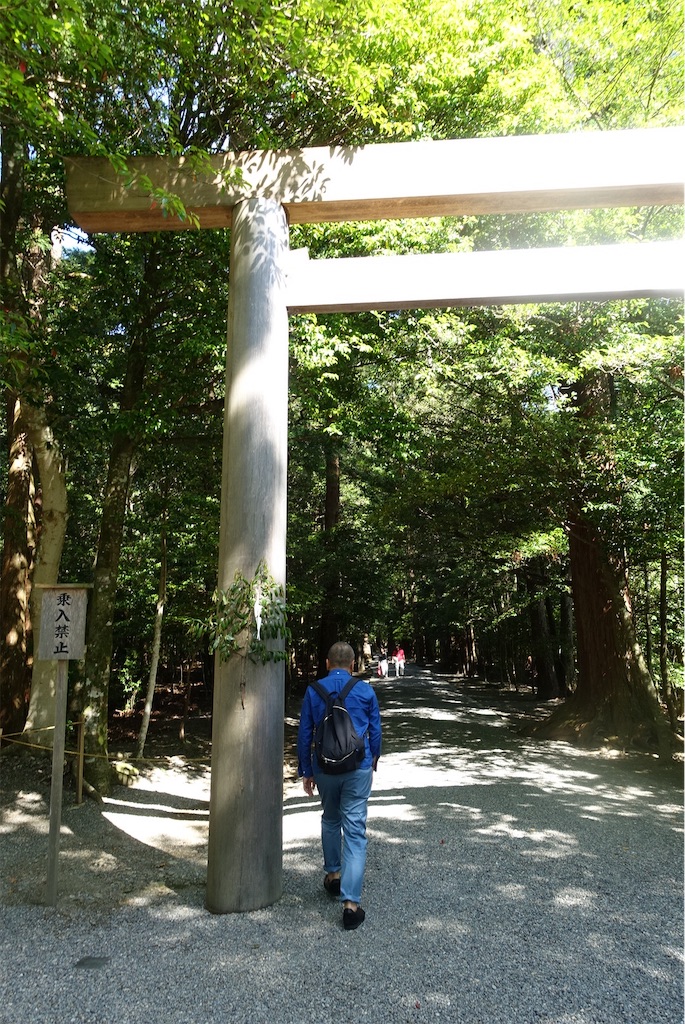 f:id:camphoreriproject:20190622233740j:image