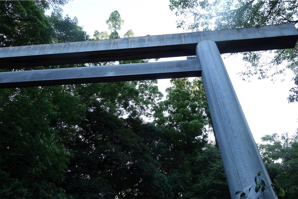 f:id:camphoreriproject:20190622233846j:image