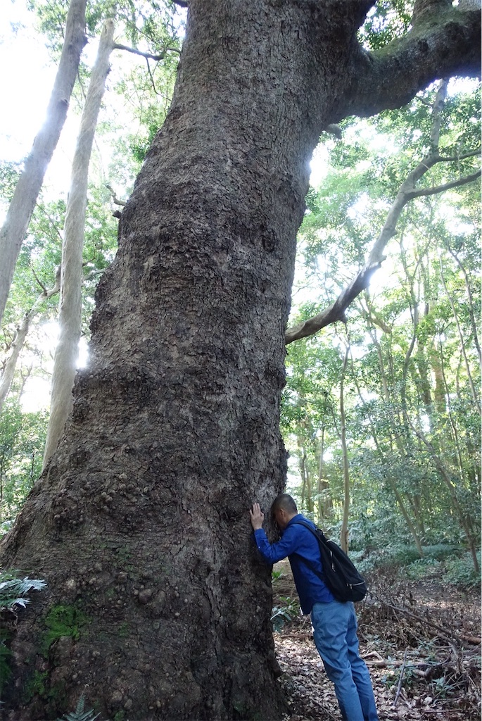 f:id:camphoreriproject:20190622233921j:image