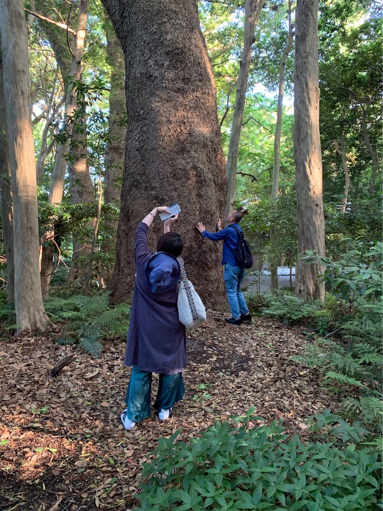 f:id:camphoreriproject:20190622234135j:image