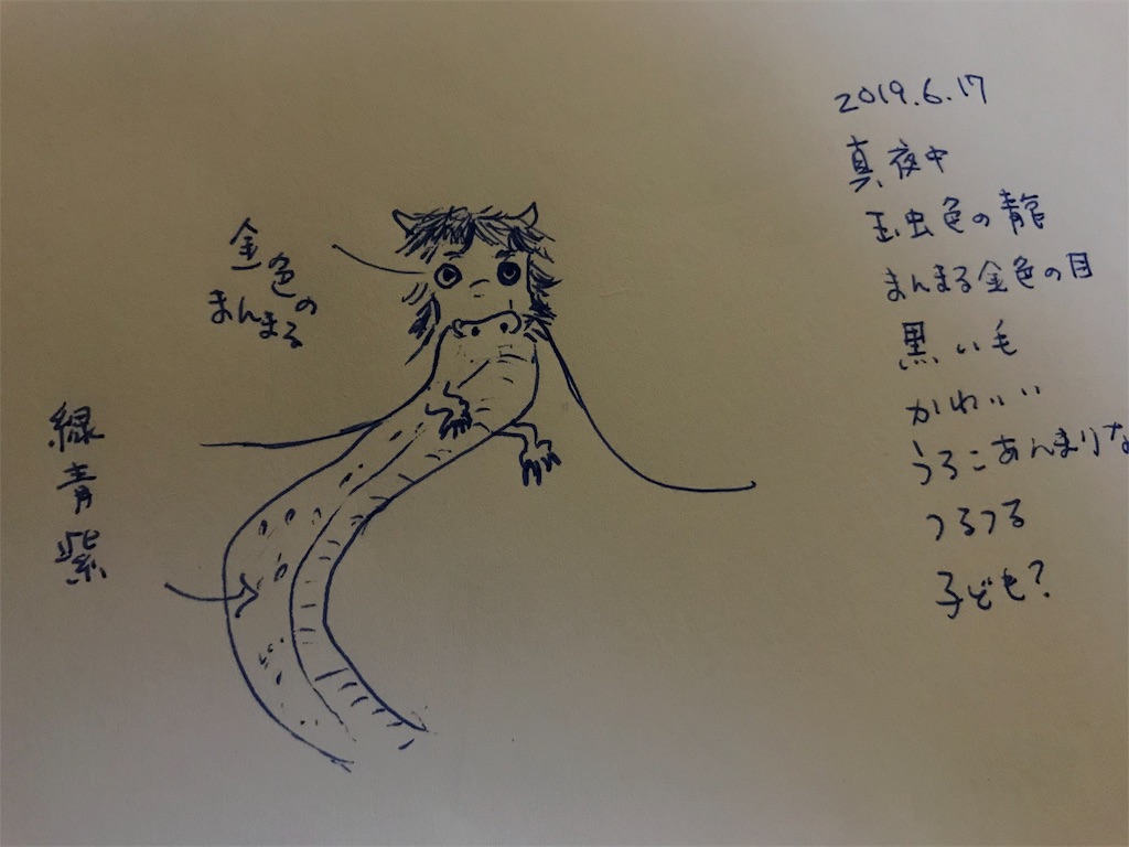 f:id:camphoreriproject:20190623223614j:image