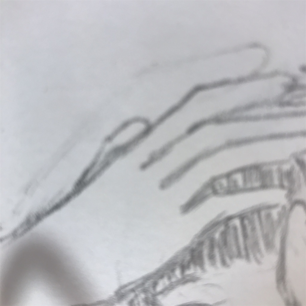 f:id:camphoreriproject:20191206154835j:image f:id:camphoreriproject:20191206154835j:image