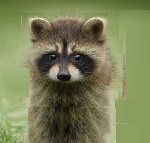 f:id:campingcarboy:20190304153617j:plain