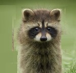 f:id:campingcarboy:20190304153856j:plain