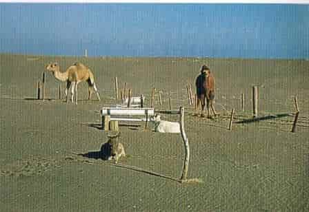 f:id:campingcarboy:20190307170831j:plain f:id:campingcarboy:20190307170831j:plain