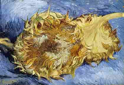 f:id:campingcarboy:20200425233753j:plain f:id:campingcarboy:20200425233753j:plain