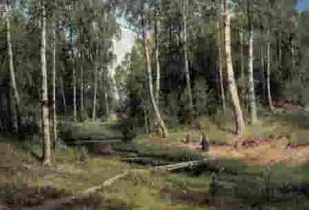 f:id:campingcarboy:20200610003456j:plain