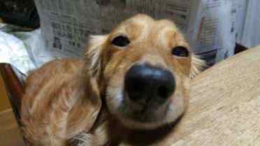 f:id:campingcarboy:20201212192122j:plain